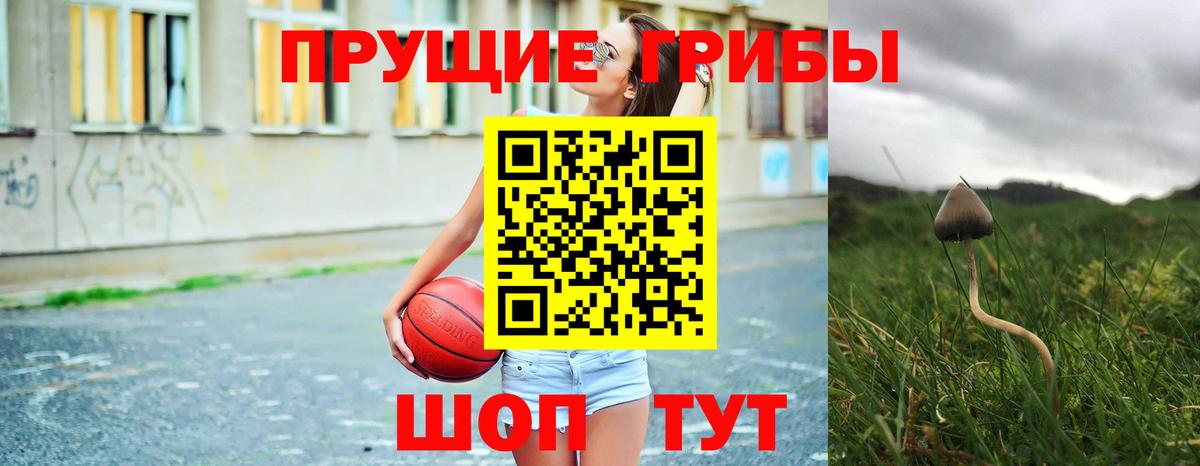 Псилоцибиновые грибы прущие грибы Новокубанск